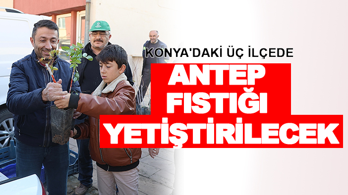 Fİdeler verildi: Konya'daki üç ilçede antep fıstığı yetiştirilecek