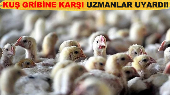 Kuş gribine karşı uzmanlar uyardı!