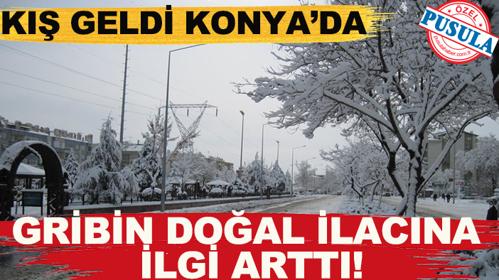 Kış geldi Konya’da gribin doğal ilacına ilgi arttı!