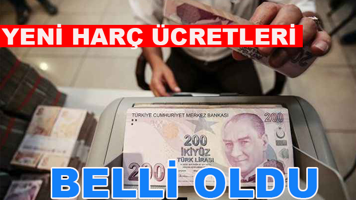 Resmi Gazete’de yayımlandı: Yeni harç ücretleri belli oldu