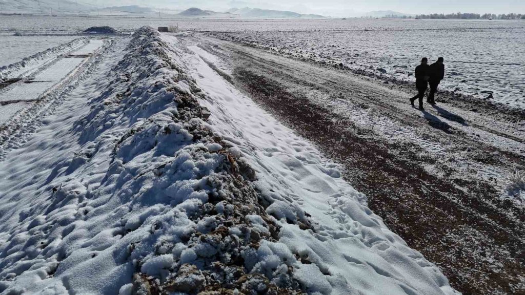 Sivas’ta 60 bin ton şeker pancarı kar altında kaldı