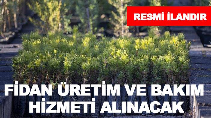 DSİ Yeraltısuları Dairesi Başkanlığı Diğer Özel Bütçeli Kuruluşlar Devlet Su İşleri Genel Müdürlüğü etüd proje hizmeti alacak