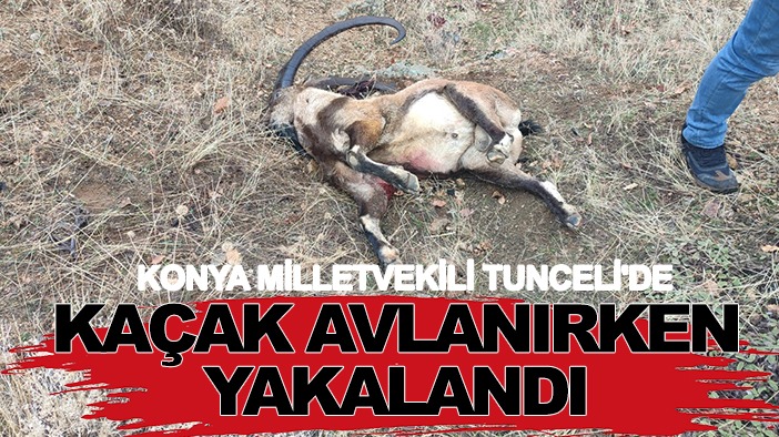 Konya milletvekili Tunceli'de kaçak avlanırken yakalandı