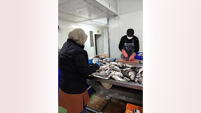 Hüyük’te balık işleme tesisi ve restoranları denetlendi