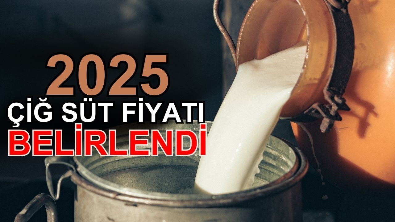 2025 çiğ süt fiyatı belirlendi