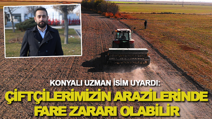 Konyalı uzman isim uyardı: Çiftçilerimizin arazilerinde fare zararı olabilir