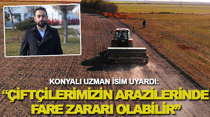 Konyalı uzman isim uyardı: "Çiftçilerimizin arazilerinde fare zararı olabilir"