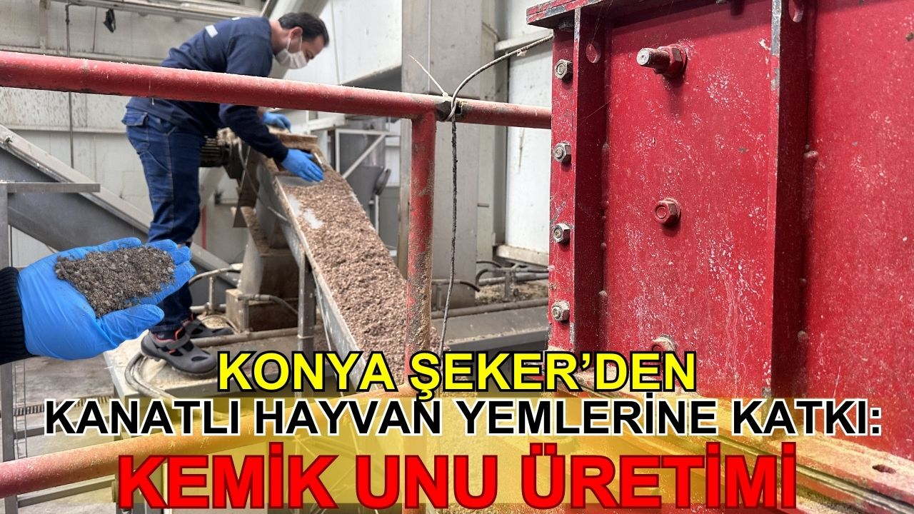 Konya Şeker'den kanatlı hayvan yemlerine katkı: Kemik unu üretimi