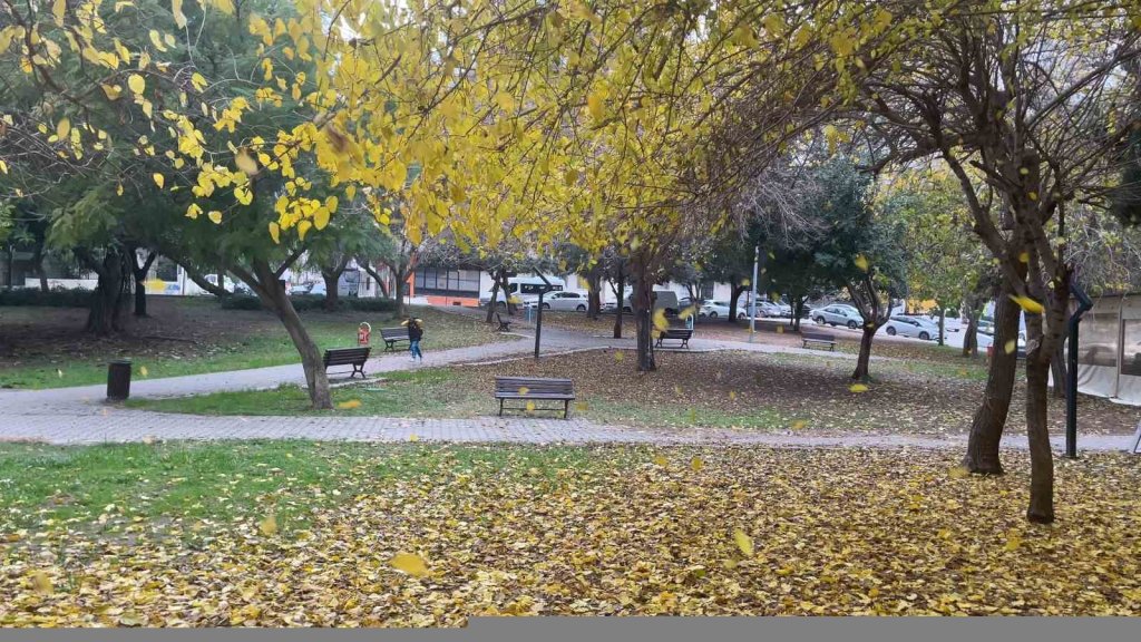 Yapraklarını döken ağaçlar görsel şölen sundu