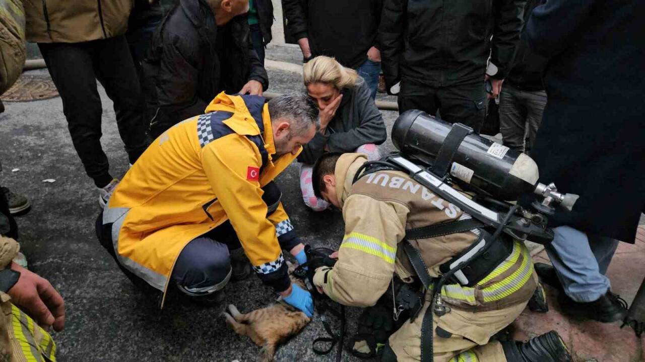 Korkutan yangın: Kalbi duran kediyi itfaiye hayata döndürdü