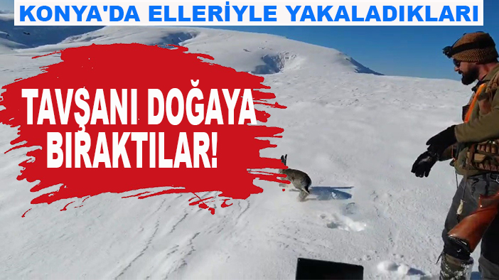 Konya'da elleriyle yakaladıkları tavşanı doğaya bıraktılar!