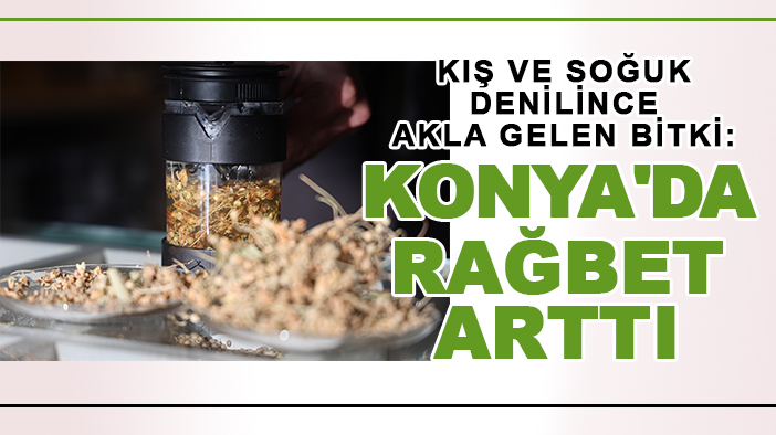 Kış ve soğuk denilince akla gelen bitki: Konya'da rağbet arttı