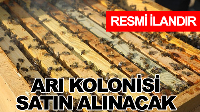 Selçuklu Belediyesi Kırsal Hizmetler Müdürlüğü arı kolonisi satın alacak