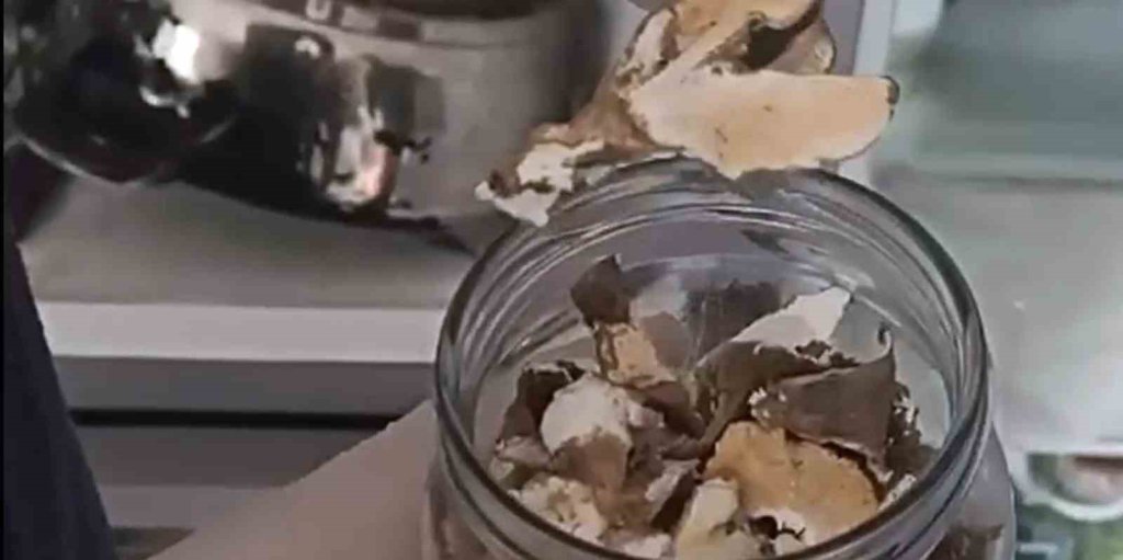 Jandarmadan operasyon: 110 milyon TL değerinde 22 kilo uyuşturucu ele geçirildi