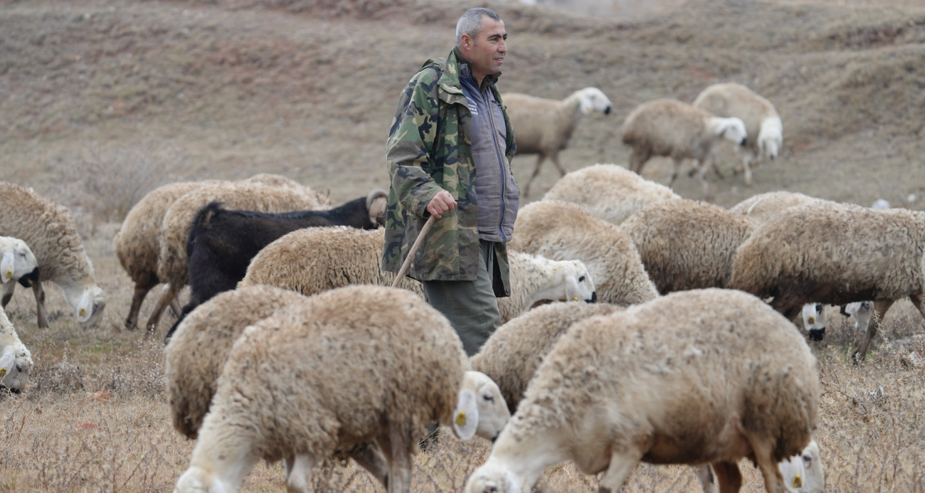 Şehirden köye uzanan bir hayat