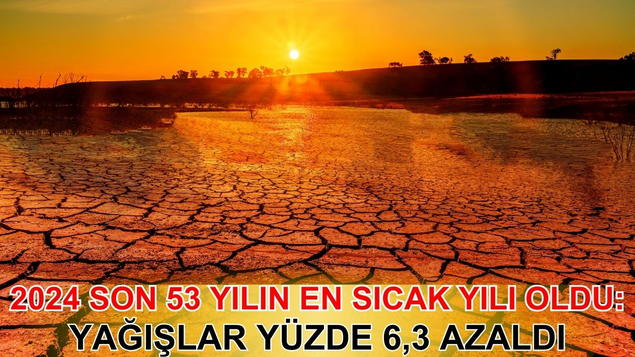 2024, son 53 yılın en sıcak yılı oldu: Yağışlar yüzde 6,3 azaldı