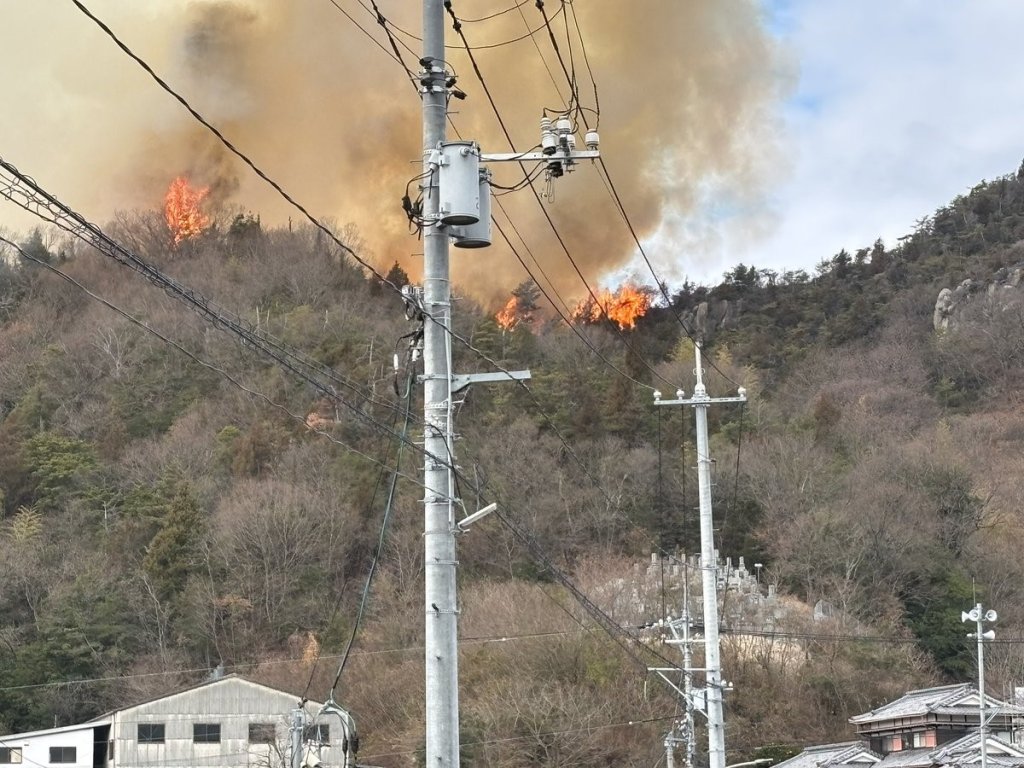 Japonya'da orman yangını: 150 kişi tahliye edildi