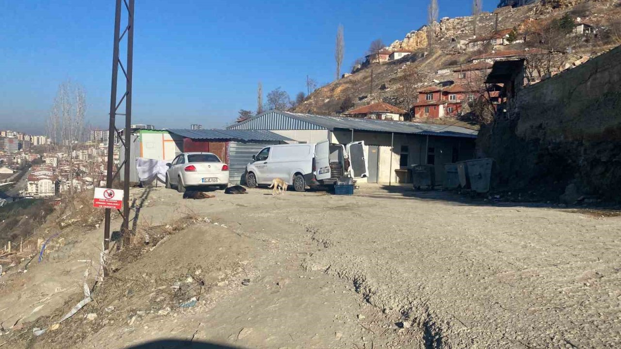 Mamak’ta köpek sürüsünün saldırdığı kadın canını zor kurtardı