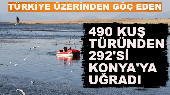 Türkiye üzerinden göç eden 490 kuş türünden 292'si Konya'ya uğradı