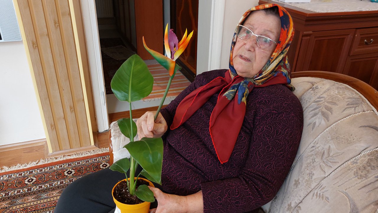 ’Canlı’ diye aldığı çiçek ‘plastik’ çıkınca BİM’i savcılığa şikayet etti