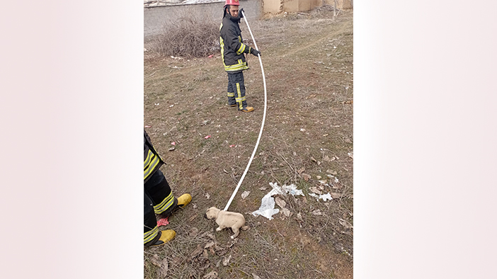 Konya'da su kuyusuna düşen köpeği itfaiye kurtardı