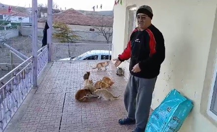 Kulu’da eski muhtar, 25 kedinin bakımını üstlendi