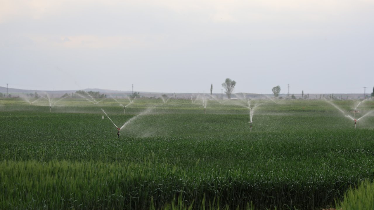 Konya Ovası’nda kuraklık alarmı: Uzmanlardan çiftçilere sulama uyarısı