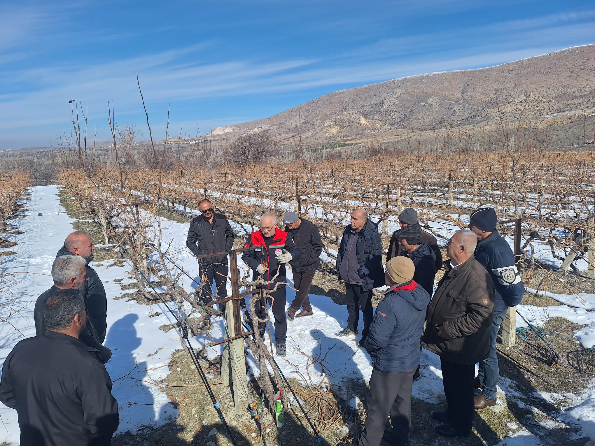 Budama eğitimi verildi