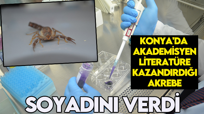 Konya'da akademisyen literatüre kazandırdığı akrebe soyadını verdi