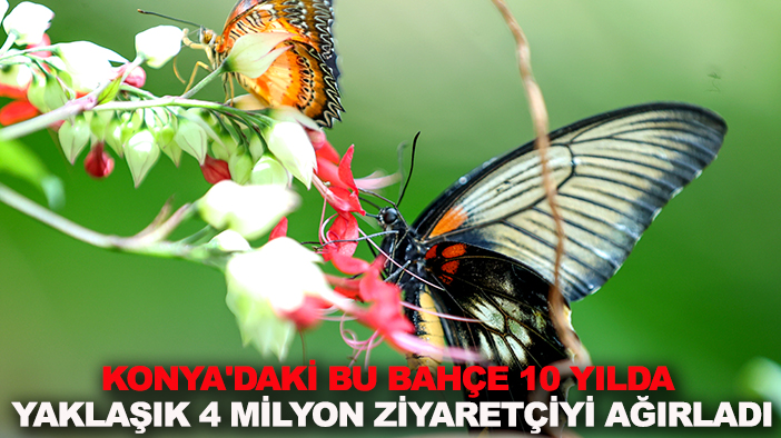 Konya'daki bu bahçe 10 yılda yaklaşık 4 milyon ziyaretçiyi ağırladı
