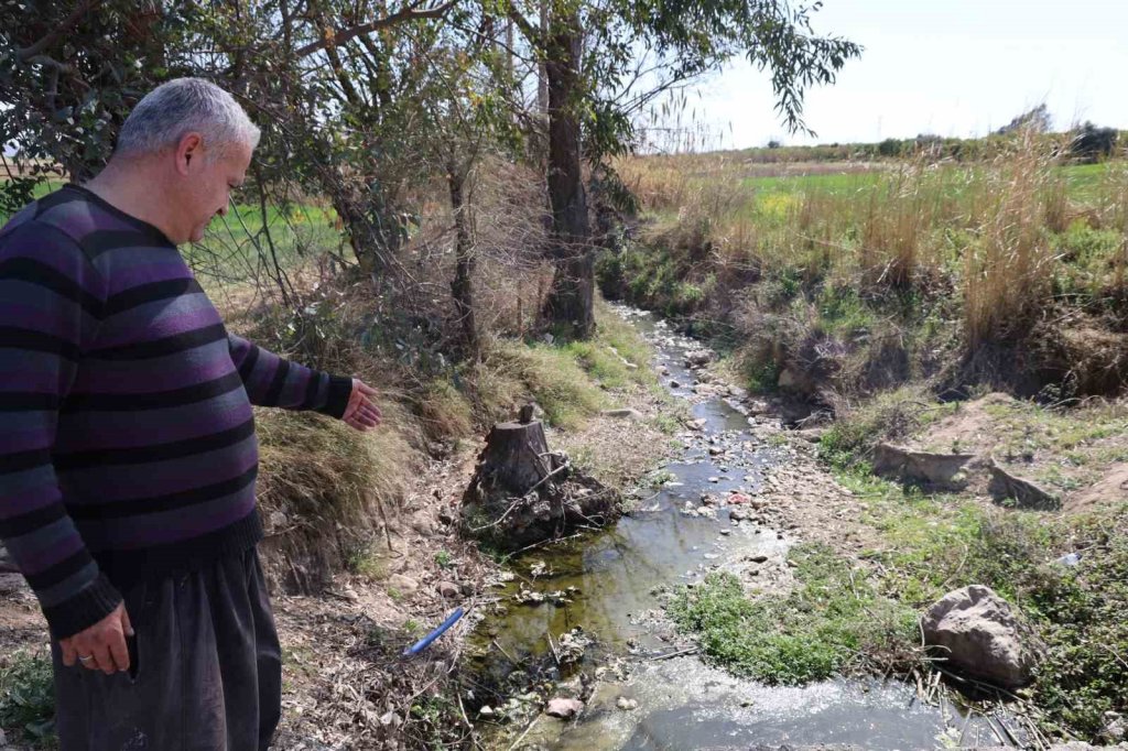 Dere yatakları siyah akıyor, mahalle sakinleri tepkili