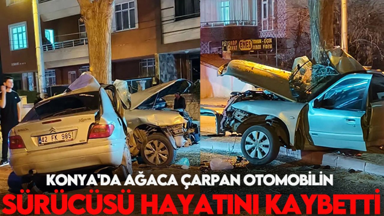 Konya'da ağaca çarpan otomobilin sürücüsü hayatını kaybetti