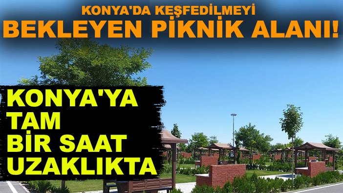 Konya'da keşfedilmeyi bekleyen piknik alanı! Konya'ya tam bir saat uzaklıkta