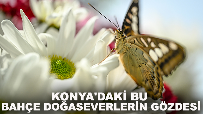 Konya'daki bu bahçe doğaseverlerin gözdesi