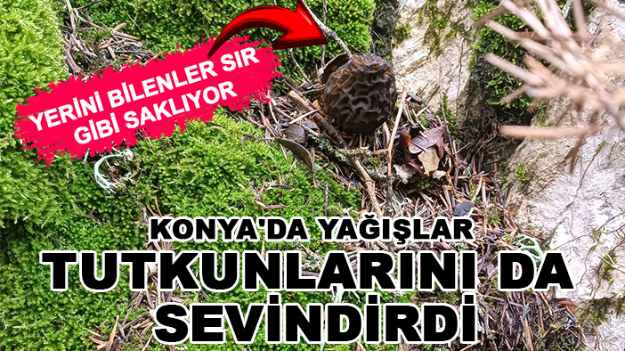 Yerini bilenler sır gibi saklıyor: Konya'da yağışlar tutkunlarını da sevindirdi
