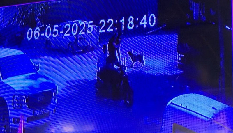 Evden kaçan köpek dehşet saçtı: Genç kızları mahalleliler kurtardı (TIKLA&İZLE)