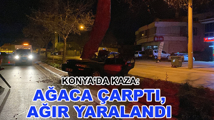 Konya'da kaza: Ağaca çarptı, ağır yaralandı