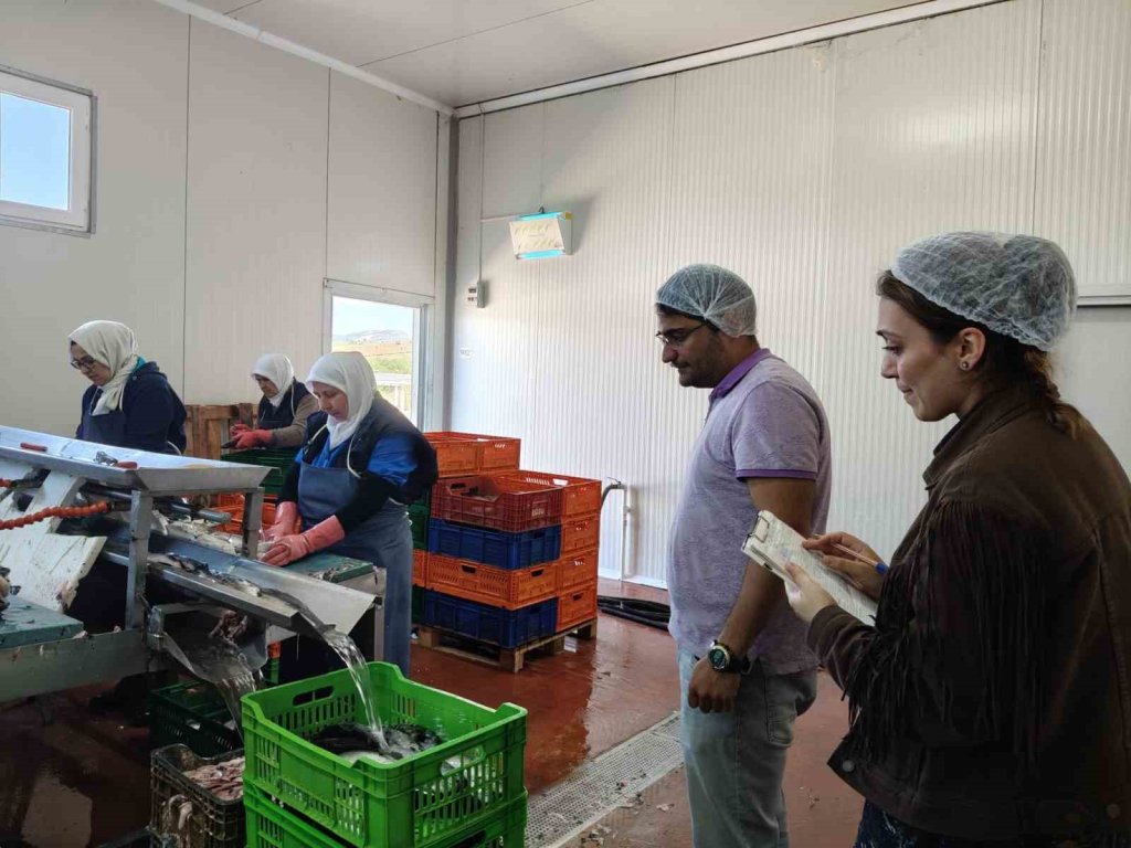 Hüyük'te balık fabrikaları denetlendi