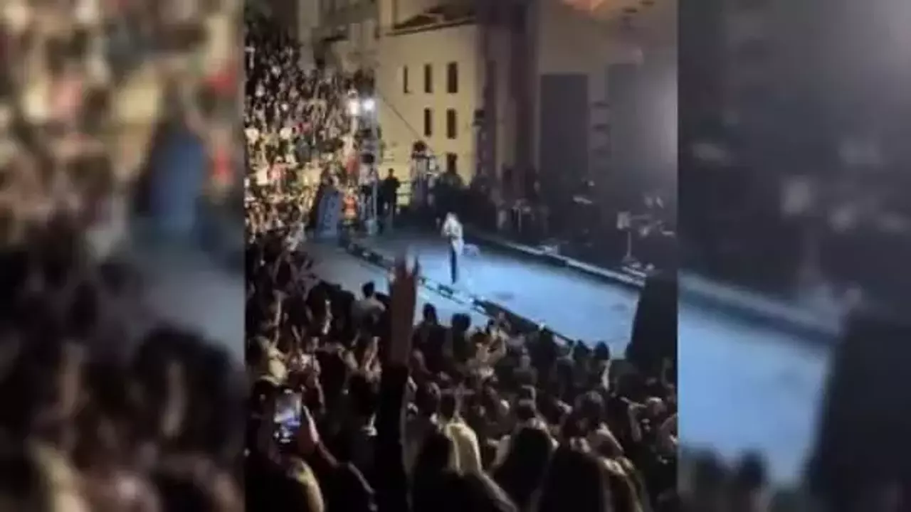 İmamoğlu'cu Sertab Erener'in Erdoğan düşmanlığı yapacağım derken düştüğü durum alay konusu oldu