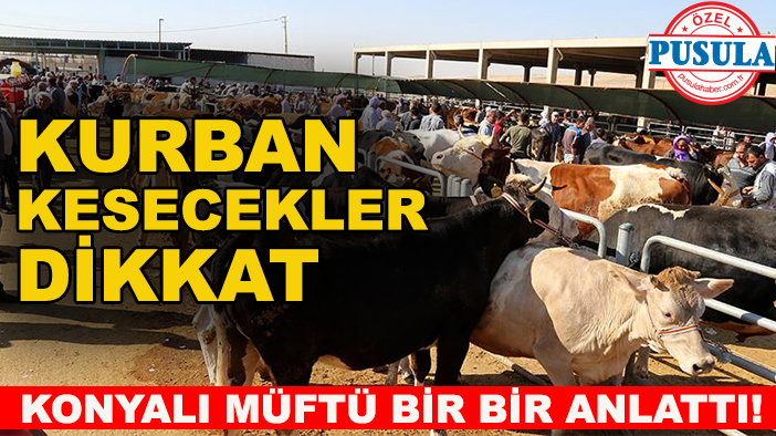 Kurban kesecekler dikkat: Konyalı müftü bir bir anlattı!