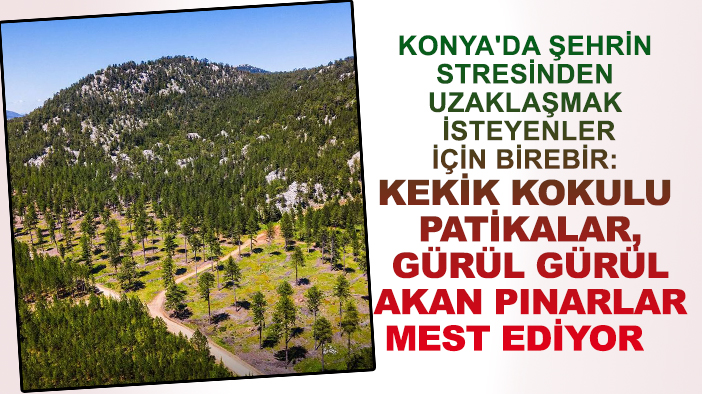 Konya'da şehrin stresinden uzaklaşmak isteyenler için birebir: Kekik kokulu patikalar, gürül gürül akan pınarlar mest ediyor