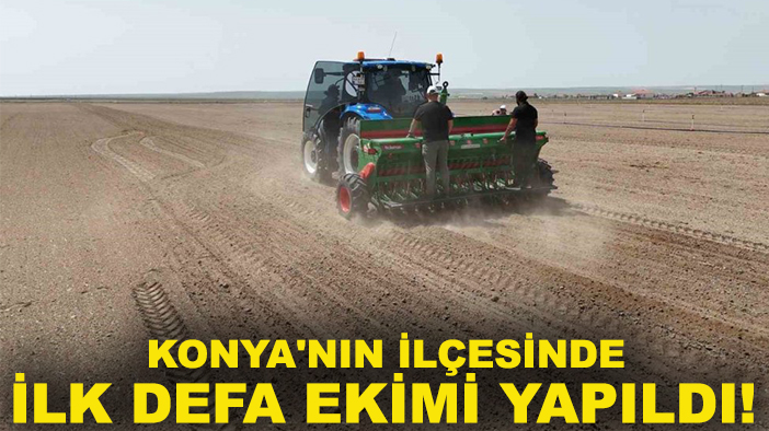 Konya'nın ilçesinde ilk defa ekimi yapıldı! 100 gün sonra hasadı yapılacak