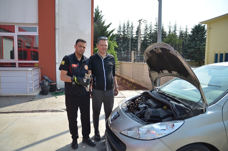 Konya'da otoparkta nefes kesen kedi kurtarma operasyonu: 5 saat uğraştılar