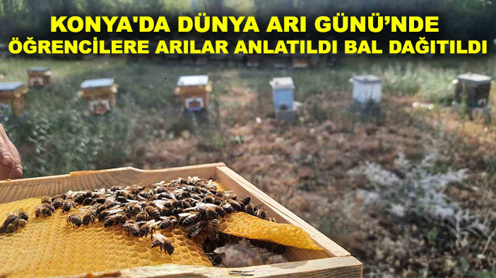 Konya'da Dünya Arı Günü’nde öğrencilere arılar anlatıldı bal dağıtıldı