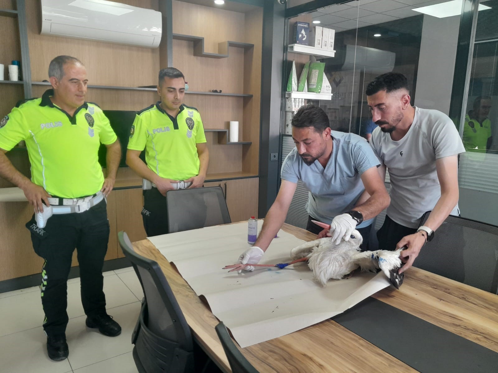 Konya'da yaralı leyleğe polisten şefkat eli