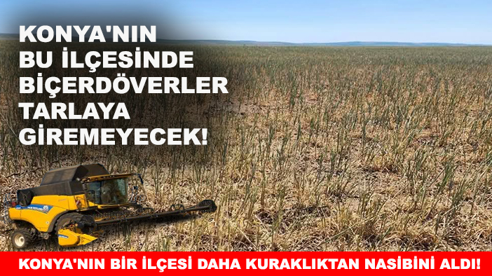 Konya'nın bir ilçesi daha kuraklıktan nasibini aldı! Konya'nın bu ilçesinde biçerdöverler tarlaya giremeyecek