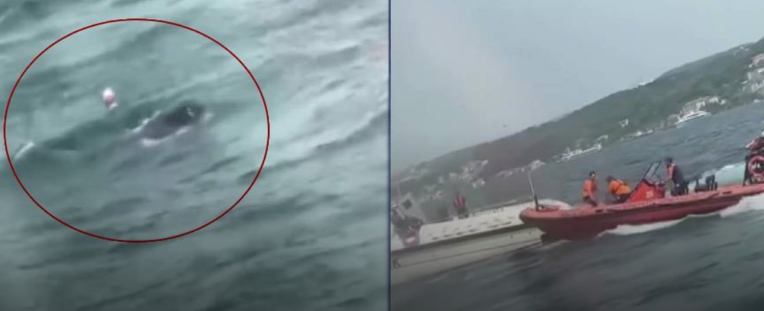İstanbul Boğazı’nda can pazarı