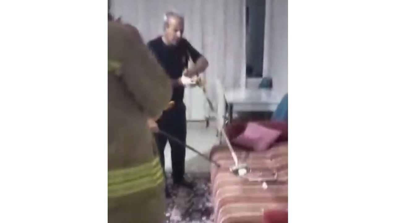 Mardin'de yakalanan yılan doğaya salındı