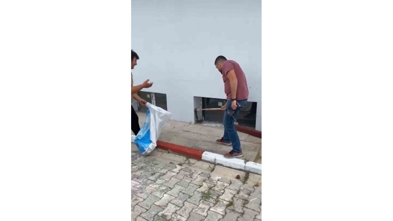 Okulda paniğe neden olan yılan, öğretmen tarafından yakalandı