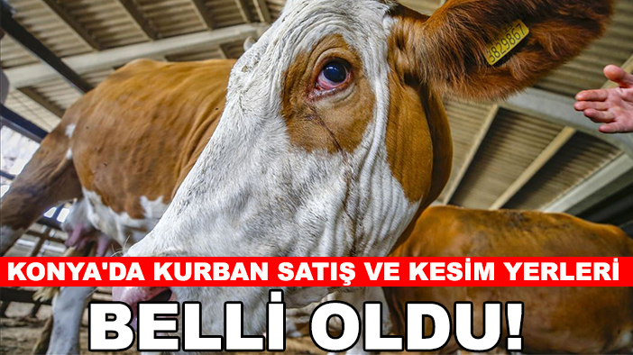 Konya'da kurban satış ve kesim yerleri belli oldu!